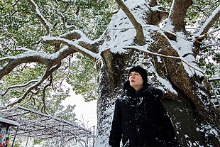 「福山雅治が「クスノキ」新録、配信利益の一部を「クスノキ基金」に寄付」