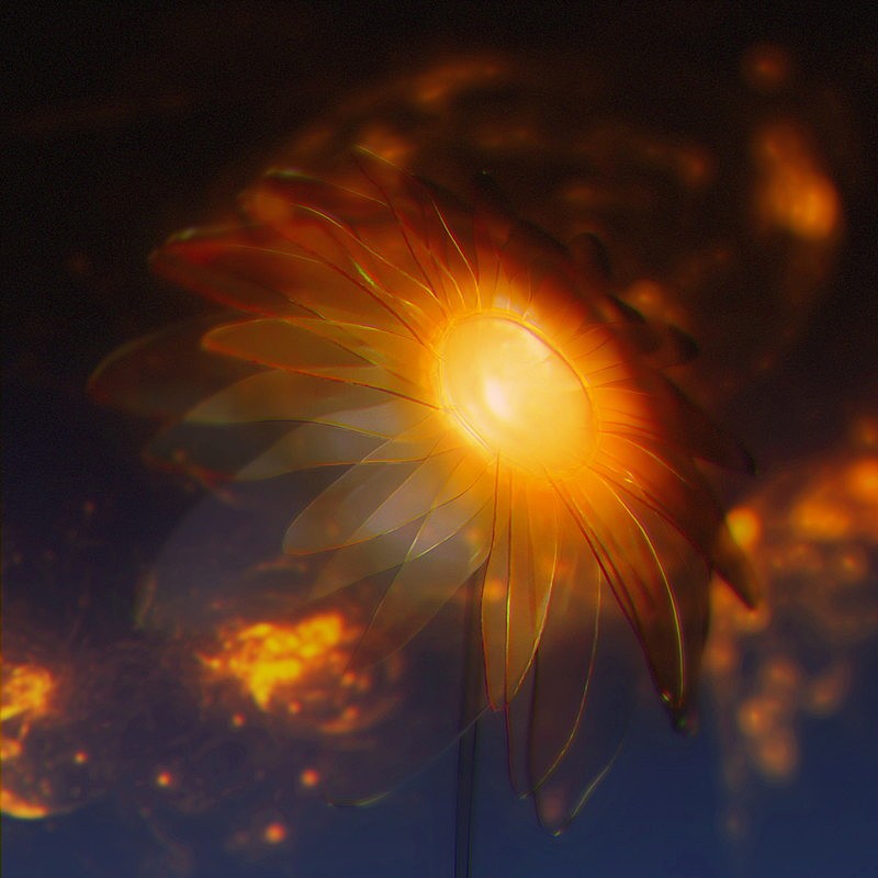 「Aile The Shota 配信シングル「向日葵花火」」2枚目/2