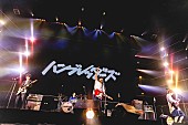 「imase／SHISHAMO／ねぐせ。／ハンブレッダーズ／FANTASTICSが饗宴【REQUESTAGE】ライブレポート」1枚目/26