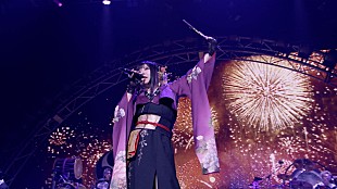 「和楽器バンド、無期限活動休止前ラストライブより「華火」映像公開」