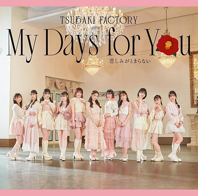 「【深ヨミ】つばきファクトリー『My Days for You／悲しみがとまらない』の販売動向を過去作と比較調査」1枚目/3