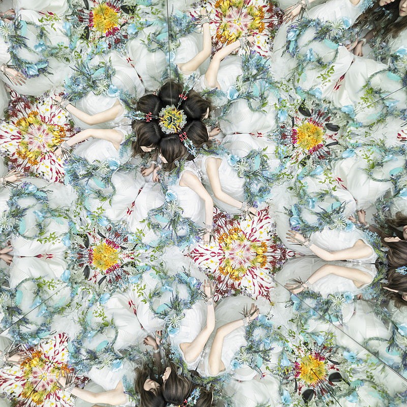 「Aimer シングル 『太陽が昇らない世界』通常盤」3枚目/5