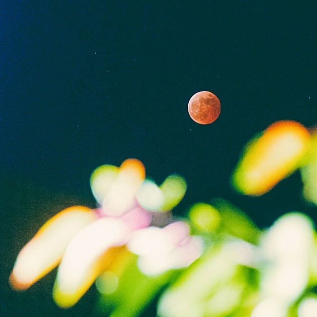 「シャイトープ「ランデヴー」累計3億回再生突破：今週のストリーミングまとめ」1枚目/1