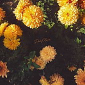 「Myuk、アニメ『ずたぼろ令嬢は姉の元婚約者に溺愛される』EDテーマ「マリー」リリース＆MV公開」1枚目/3