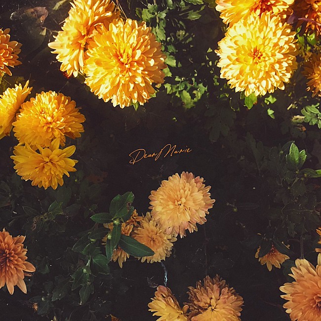 「Myuk、アニメ『ずたぼろ令嬢は姉の元婚約者に溺愛される』EDテーマ「マリー」リリース＆MV公開」1枚目/3