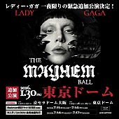 「レディー・ガガ、東京ドームでの追加公演が決定」1枚目/1