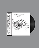 「フローティング・ポインツ、デビューAL『Elaenia』10周年を記念して帯付きLP発売」1枚目/2