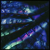 「勢喜遊 &amp;amp; Yohji Igarashi 配信シングル「Tombo feat.Daichi Yamamoto」」2枚目/4