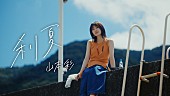 「山本彩、初の夏ソング「刹夏」MV公開　11月よりホールツアーへ」1枚目/4