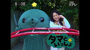 「キタニタツヤ、『教育番組』とのコラボ映像『タマといっしょ』公開　【YouTube Music Weekend】初日動画として」