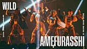 「AMEFURASSHI、「WILD -Remix」ライブパフォーマンス映像公開」1枚目/1