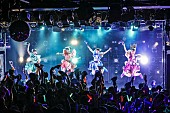 「TEAM SHACHI、【ラストライブハウス（決）～君への想い感謝感激～】が完結　「翔け抜けてスターマイン」MVも公開」1枚目/11