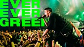「Novel Core、全国ツアー映像を収めた「EVER EVER GREEN」MV公開」1枚目/3