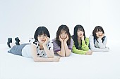 「ハク。、新曲「夢中猫」がWEBアニメ『うごく！ねこむかしばなし』主題歌に決定」1枚目/1