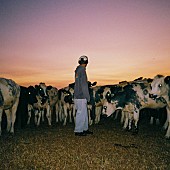 「マム・トゥーディー、メロウな新曲「Daylight Dreaming」公開」1枚目/2