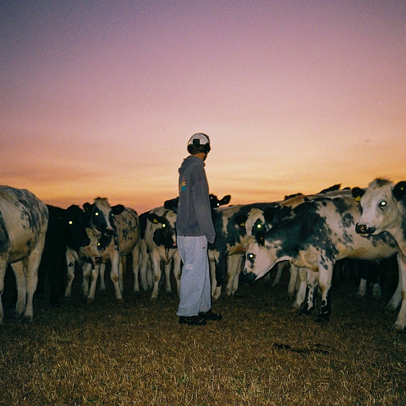 「マム・トゥーディー、メロウな新曲「Daylight Dreaming」公開」1枚目/2
