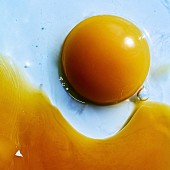 「【先ヨミ】RADWIMPS『あにゅー』5.1万枚で現在アルバム1位独走中」1枚目/1