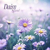 「Lienel 配信シングル「Daisy」」2枚目/4