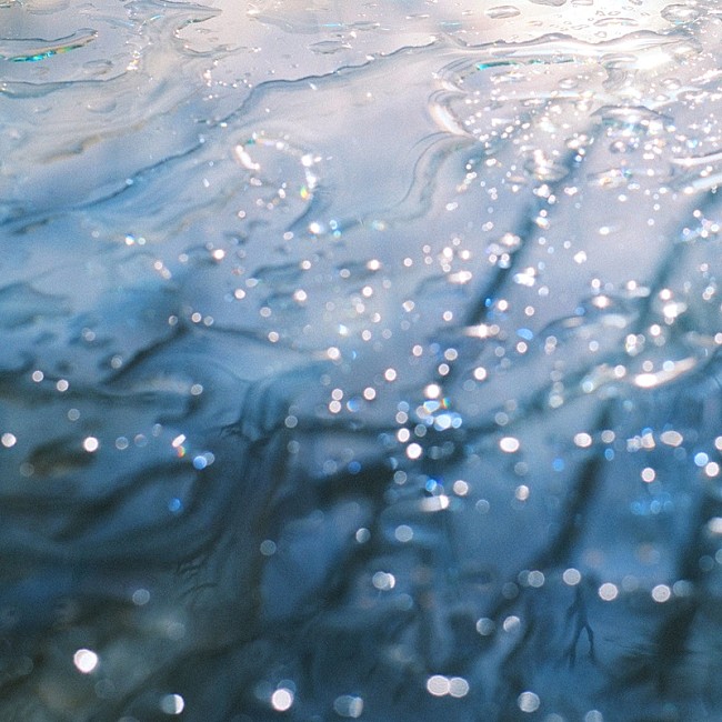 「(C)Yuta Shibamoto(stacks)」2枚目/2