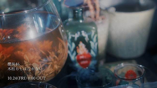 「櫻坂46、谷口愛季センターのBACKS楽曲「木枯らしは泣かない」MV公開＆先行配信が決定」1枚目/1