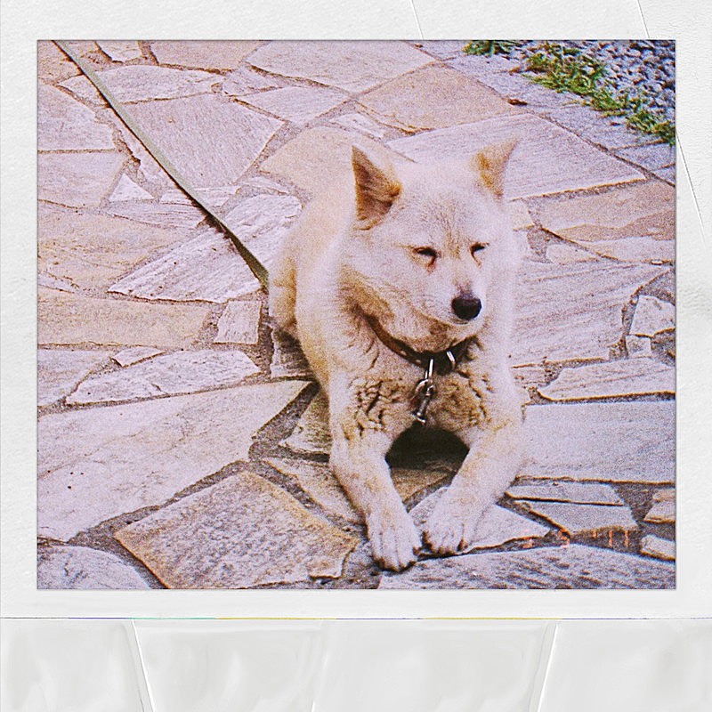 「マカロニえんぴつ 配信シングル「ハナ」」2枚目/2