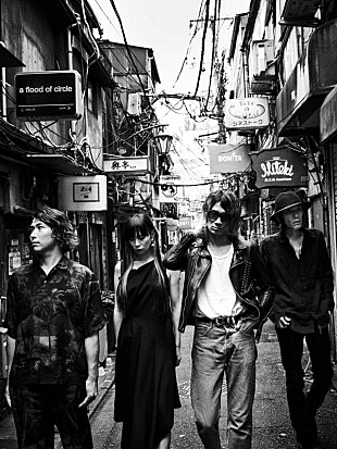 「a flood of circle、日本武道館での結成20周年記念公演＆全国ツアーが決定」