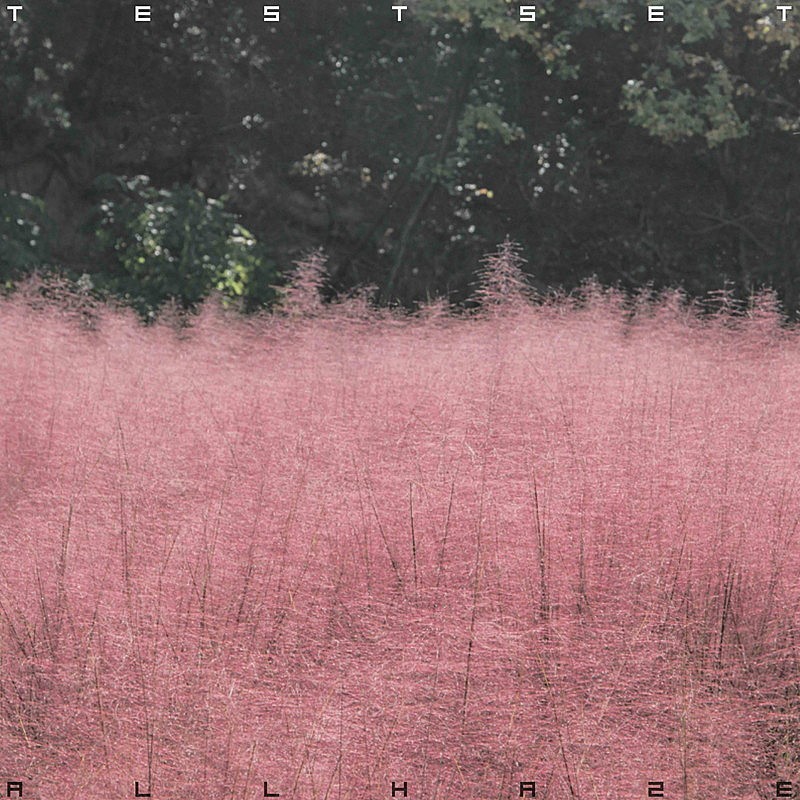 「TESTSET アルバム『ALL HAZE』」2枚目/3