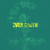 「TOOBOE アルバム『EVER GREEN』」2枚目/4
