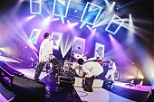 「フレデリック、全国ツアー終幕　熱狂に満ちた東京公演のライブレポートが到着」1枚目/18