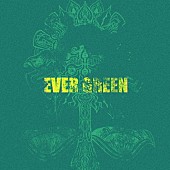 「TOOBOE アルバム『EVER GREEN』」2枚目/3
