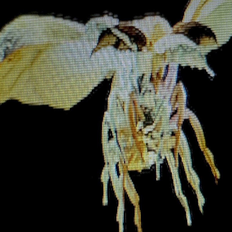 「Tele、ツアーと同タイトルの新曲「蟲」を12/10にリリース」1枚目/2