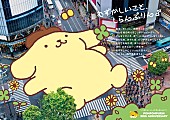 「ポムポムプリン30周年キービジュアル」6枚目/8