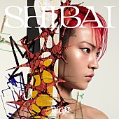 「龍宮城 デラックスアルバム『SHIBAI (Deluxe)』Sony Music Shop限定メンバーソロジャケット盤 S」9枚目/11
