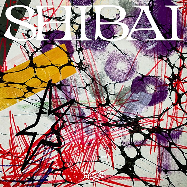 「龍宮城 デラックスアルバム『SHIBAI (Deluxe)』通常盤」3枚目/11