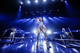 「＜ライブレポート＞女王蜂　聖なる産声がもたらす独壇場――単独公演【アヴちゃん聖誕祭2025～GAL GAL GAL～】」