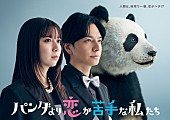 「日本テレビ系新土曜ドラマ『パンダより恋が苦手な私たち』」4枚目/4