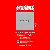 「プー・ルイ率いる新グループ・PIGMONZ、デビューアルバム発売＆プレデビューイベントが決定」1枚目/3