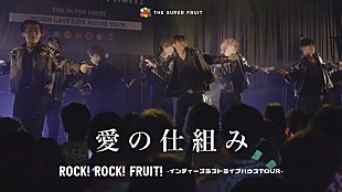 「THE SUPER FRUIT、乃紫の提供楽曲「愛の仕組み」ライブ映像を公開」