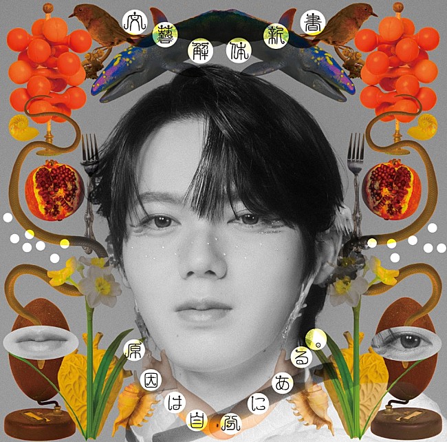 「『文藝解体新書』小泉光咲盤」5枚目/10