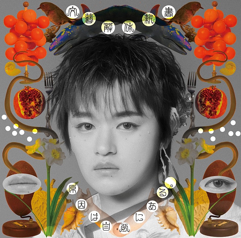 「『文藝解体新書』大倉空人盤」4枚目/10