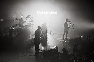 「My Hair is Bad、ドラマ『探偵さん、リュック開いてますよ』主題歌の新曲「ここで暮らしてるよ」リリース＆【ノーブルホームランツアー】開催決定」