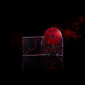 「King Gnu シングル『AIZO』通常盤」8枚目/8