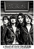 「a flood of circle、日本武道館単独公演ビジュアル公開」1枚目/1