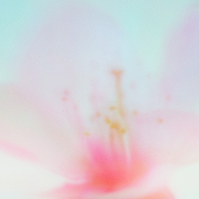 「tonun 配信シングル「青い春に (Re-recorded)」」2枚目/2