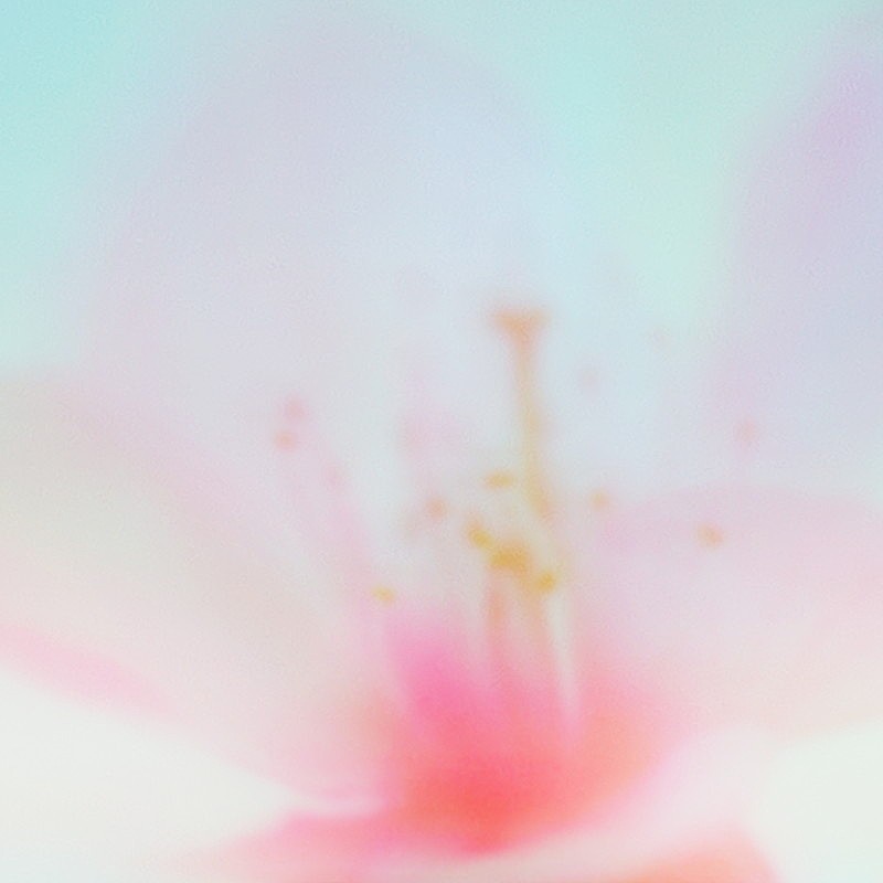 「tonun 配信シングル「青い春に (Re-recorded)」」2枚目/2