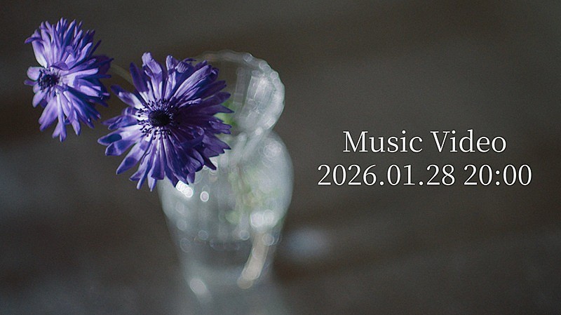 「Novelbright、新曲「アネモネ」MVプレミア公開決定　ティザー映像には寺本莉緒の姿が」1枚目/3