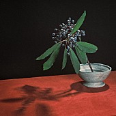 「indigo la End 配信シングル「カグラ」」4枚目/8