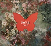 「STARGLOW シングル『USOTSUKI』BMSG MUSIC SHOP専売商品（CD＋DVD／Blu-ray）」4枚目/4