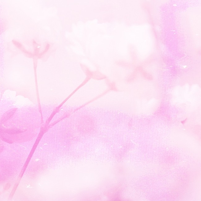 「「ふわ輪」ジャケット写真」2枚目/4