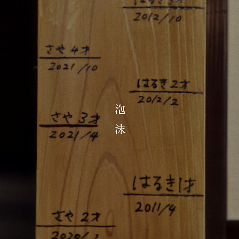 「崎山蒼志、“人が一人も出てこないのに、人がいる”「泡沫」MV公開」1枚目/8